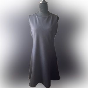 Banana Republic Swing Dress